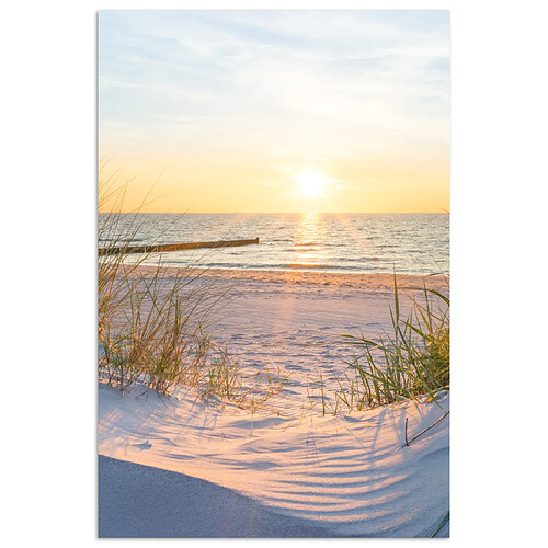 Muchowow Plage Soleil Dune Herbe - 40x60 cm