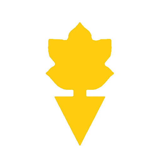 INF Lot de 100 pièges collants épais jaunes en forme de lotus pour la protection des plantes