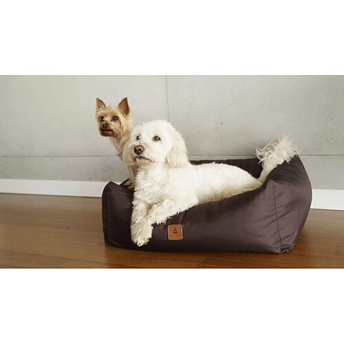 Animood Lit pour chien Maurice taille : M, couleur : capuccino, matière : kodura