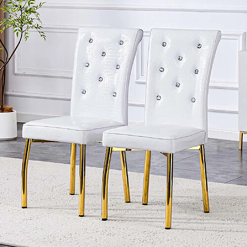 Pugsdrly Lot de 2 chaises de salle à manger - Pieds en métal - Blanc