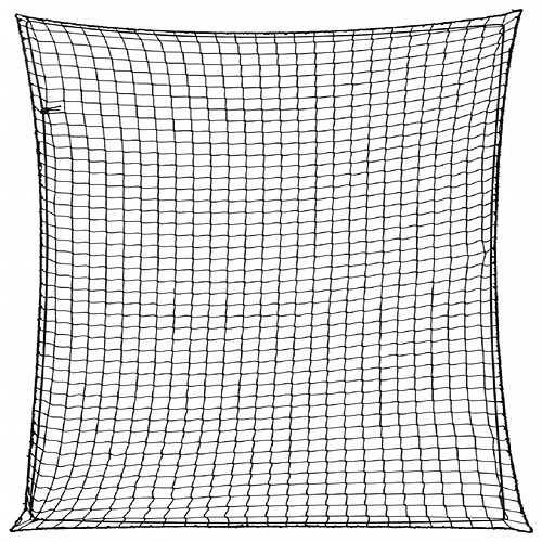 vidaXL Filet pour remorque avec corde élastique noir 4x4 m PP