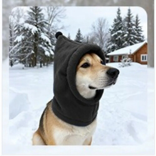 INF Bonnet Chien Polaire Chaleureux et Apaisant - Protection Hivernale et Anti-Bruit Black L