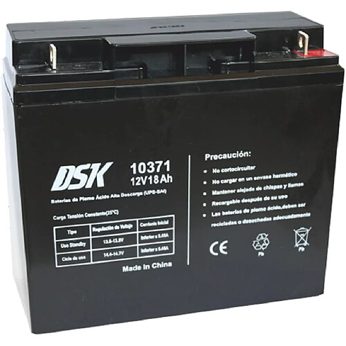 DSK - Batterie plomb-acide AGM scellée et rechargeable 12V 18Ah pour UPS-SAI