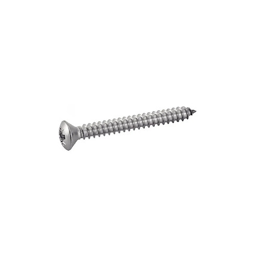 ACTON 62411 - Vis à tôle Pozidriv inox A2 3,9 x 32