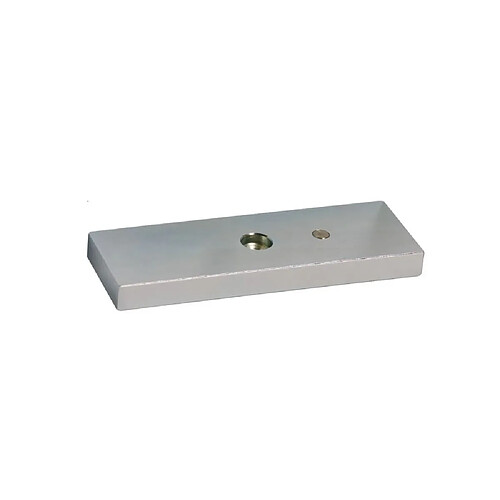 SEWOSY APEF550 - Platine de contrepartie 185 mm - Argent