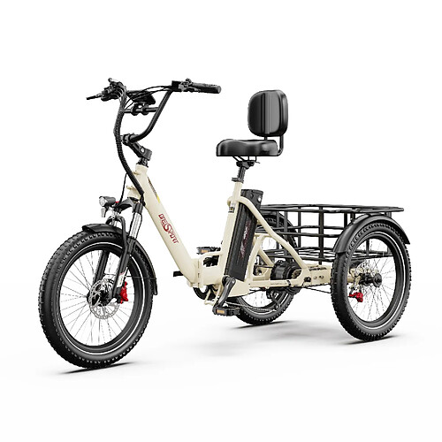 Triporteur électrique Onesport OT03Pro 48V 500W Batterie 18AH autonomie 90km cargo pour