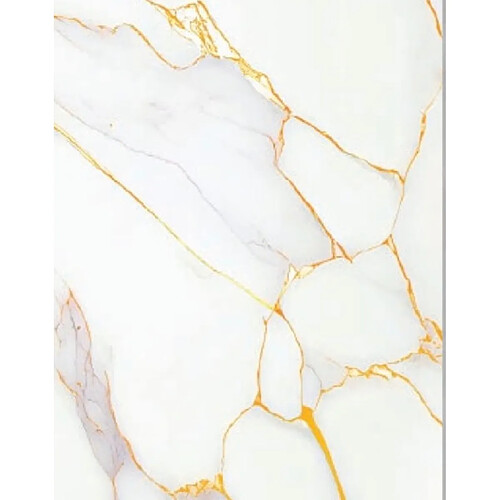 PROTOCOLE HOME Panneau mural PVC effet MARBRE LUNA GOLD 122x260 cm