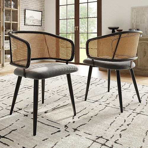 modfu Lot de 2 chaises de salle à manger avec dossier en rotin et pieds en fer gris