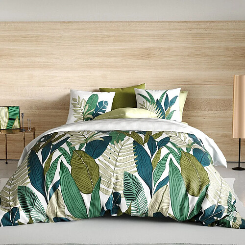 Atelier du coton Parure housse de couette 100% coton 57fils beleme