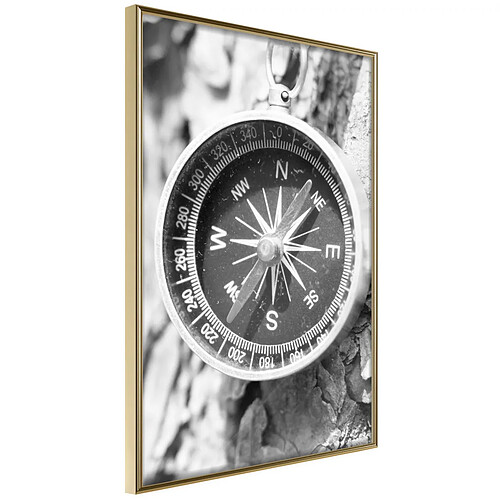 Paris prix Where to Go - 30 cm