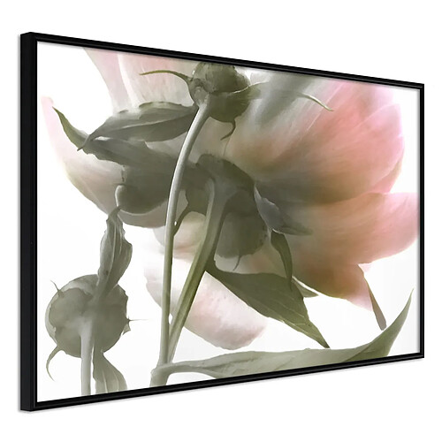 Paris prix Under the Flower - 60 cm