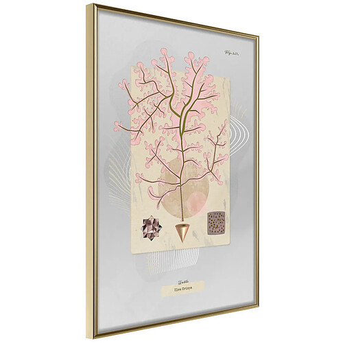 Paris prix Seaweed - 30 cm