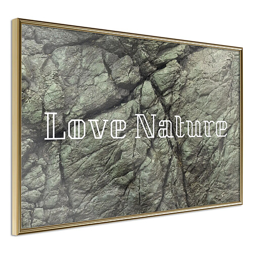 Paris Prix Affiche Murale Encadrée Nature 30 x 20 cm Or