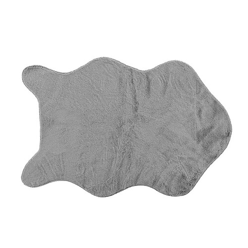 Paris prix Réglisse - 60x90 cm - Gris