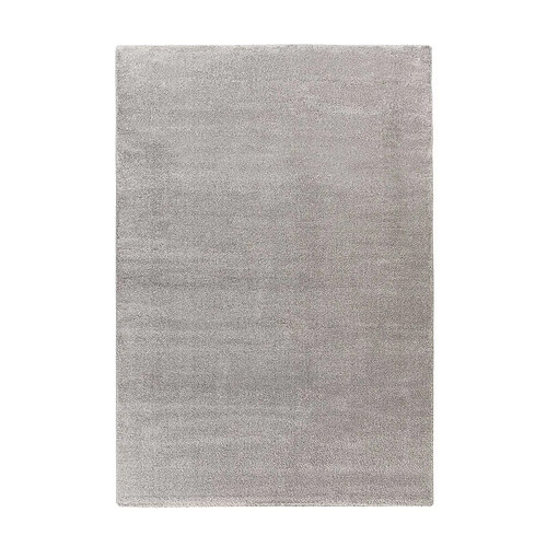 Paris Prix Tapis Tissé Shaggy à Poils Longs Nila Gris 80 x 150 cm