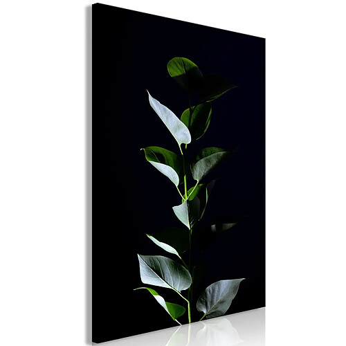 Paris prix In the Moonlight - 40x60 cm