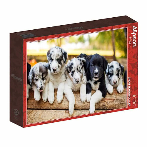 Elipson ALI50079 Puzzle 1000 pièces 69 x 47,8 cm