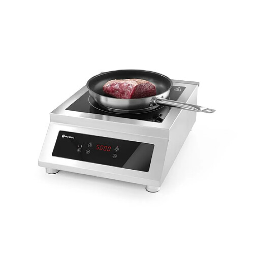 Plaque de cuisson à induction modèle 5000 D Profi Line 400V/5000W — free download