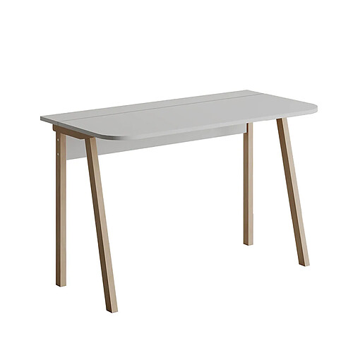 Pegane Bureau Table d'odinateur Table de travail coloris Blanc - Hauteur 75 x Longueur 120 x Profondeur 60 cm
