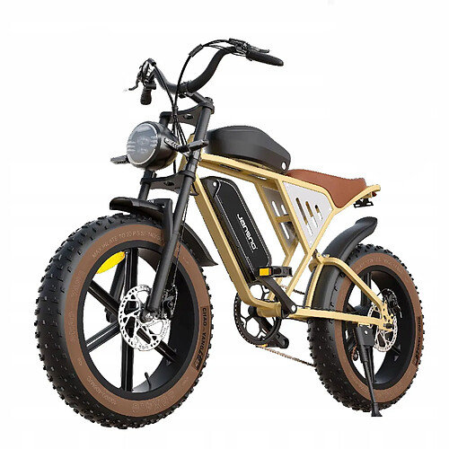 JANSNO X70 Vélo Électrique adulte Moteur 1000W Dual Batterie 48V 37AH Autonomie 100km