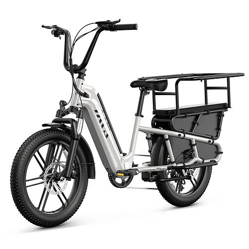Vélo Électrique adulte TST K8 - Batterie 48V 15Ah - Moteur 1300W - Autonomie 90km - vitesse max 45 km/h