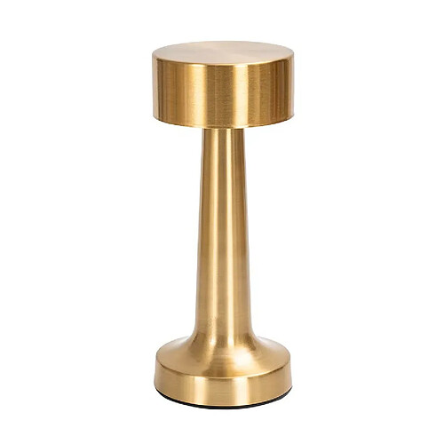 Lampe à Poser Led, Tactile, Intensité Variable, Luminaire d'Appoint, 21 cm, Rechargeable