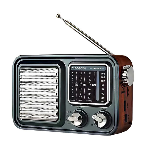 Avizar Radio Rétro Multi-bande FM / AM / SW avec Lecteur USB MP3 Noir / Argent