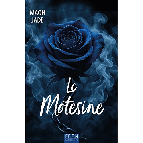 Les Matches boys : le profecoeur. Vol. 2. Le Motesine