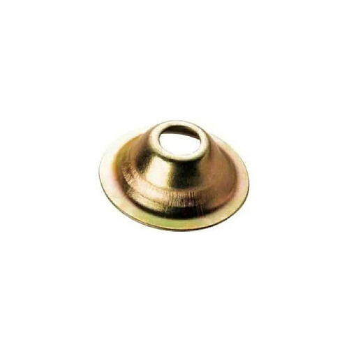 FISCHER 310029P Rosace conique RC BICHRO 29 boîte 100 zinc jaune