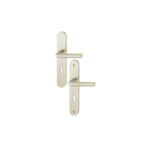 Hoppe ARLES Garniture monobloc sur plaques champagne 7 mm Type L