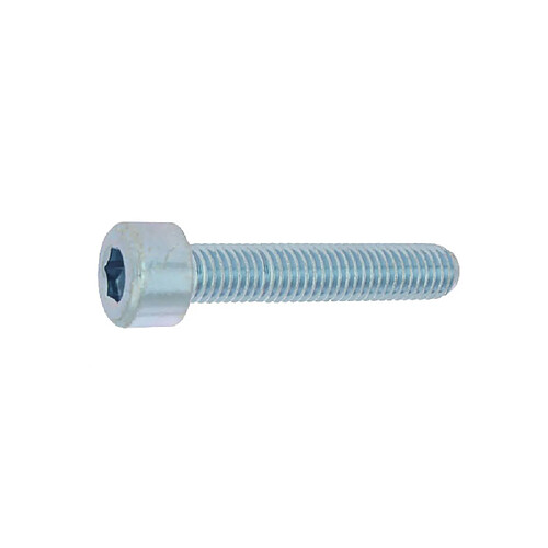 Selection Brico-Travo CHC4X20ZING Vis CHC 4x20 mm tête cylindrique 6 pans zinguée blanc classe 8.8 boîte 200