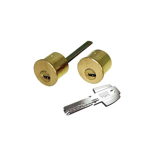 Tesa T60 Cylindre de remplacement 66 mm pour TS30/TS50 laiton poli