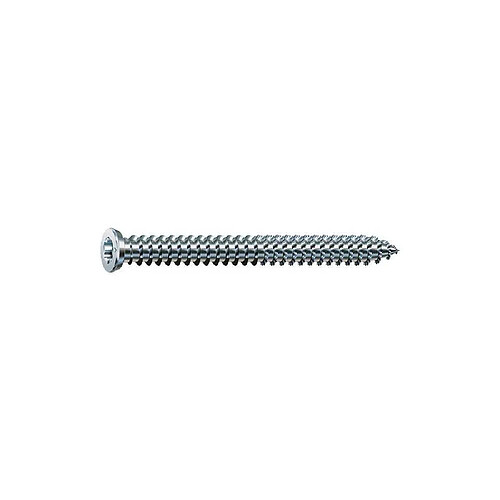 Spax 1021010751505 Vis d'ancrage cadre 7,5 x 150 mm T30 pack 100