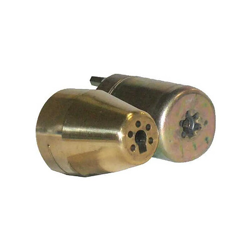Iseo 56290045 Cylindre à panneton embouti Izis CAVERS 29 mm laiton poli