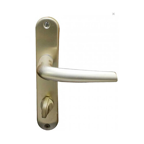 Bezault 046179 Poignée sur plaque Mondial champagne avec condamnation 165 mm 7 mm