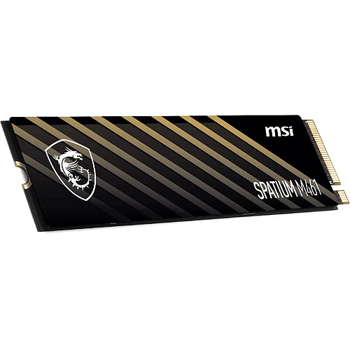 Msi Spatium M461 1To M.2 2280