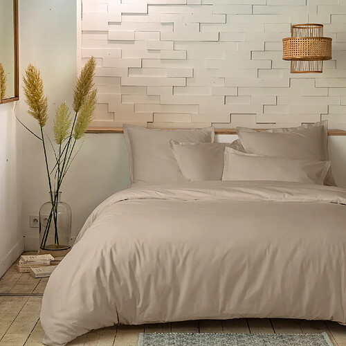 Home Collection Parure housse de couette 100%percale de coton 80 fils/cm2-uni
