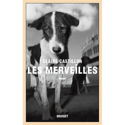 Les merveilles · Occasion