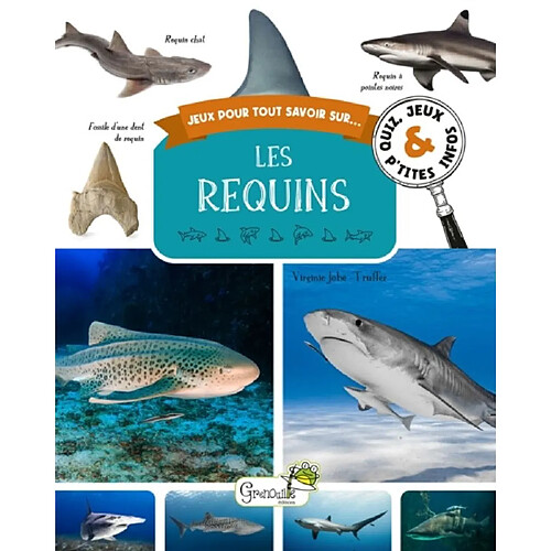 Les requins : quiz, jeux & p'tites infos
