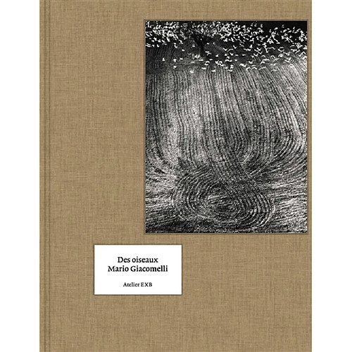 Des oiseaux