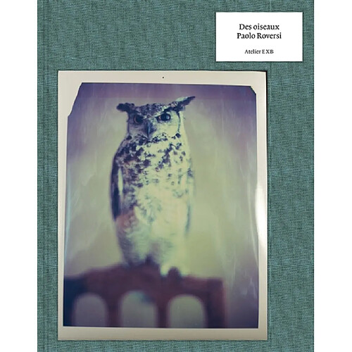 Des oiseaux · Occasion