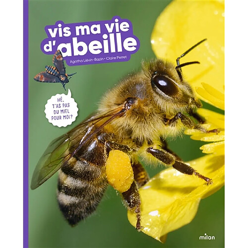 Vis ma vie d'abeille · Occasion