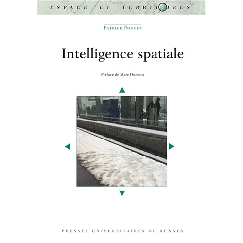 Intelligence spatiale · Occasion