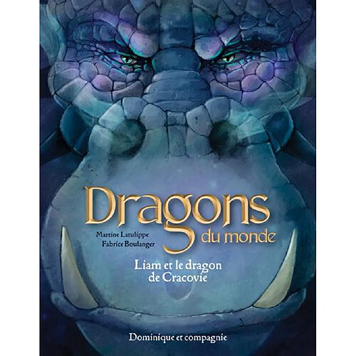 Liam et le dragon de Cracovie · Occasion