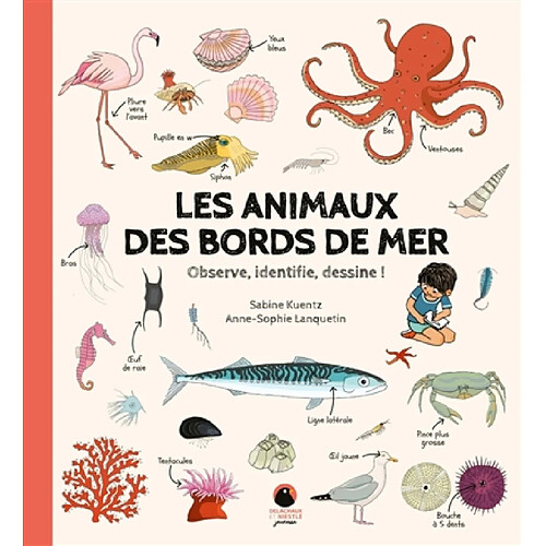 Les animaux des bords de mer : observe, identifie, dessine !