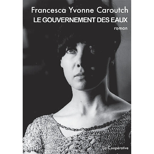 Le gouvernement des eaux · Occasion