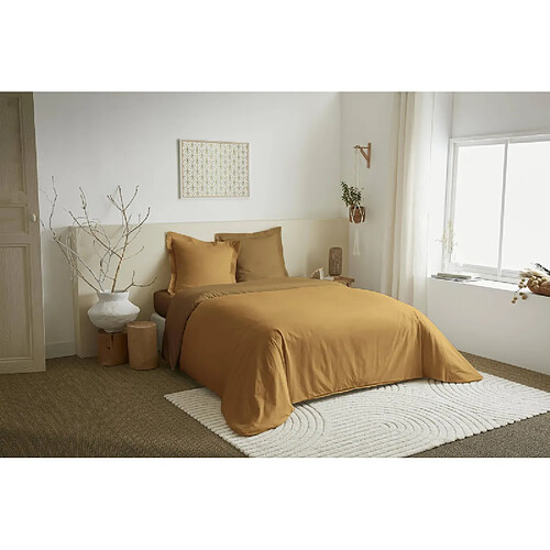 Coton Pur Parure de couette 3 Pièces réversible "Duo Premium" 260 x 240 cm King Size Miel/Caramel