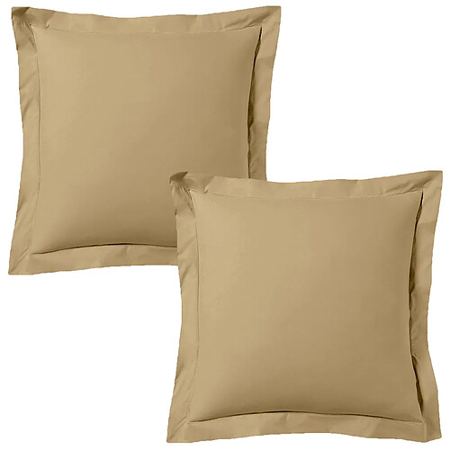 BLANC AVENUE Lot de 2 taies d'oreiller satin de coton beige
