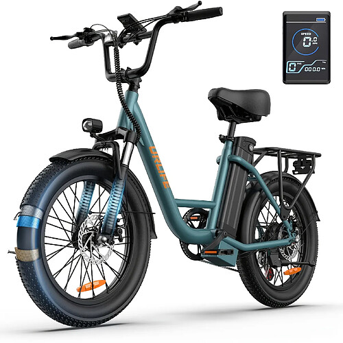 Vélo Électrique Adulte URLIFE E20, Moteur 1000W, Batterie 48V 13AH, Pneus Tout-Terrain 20*3