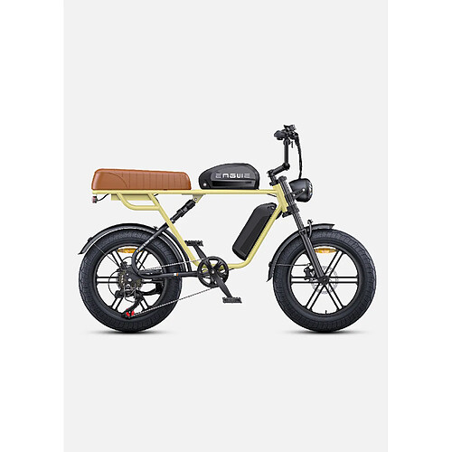 Vélo Électrique Style Moto ENGWE M1, Double Batterie 48V 28,6AH, Moteur 250W, 25KM/H